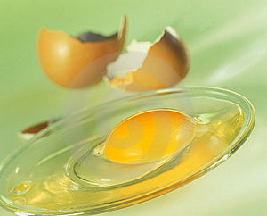 egg-yolk
